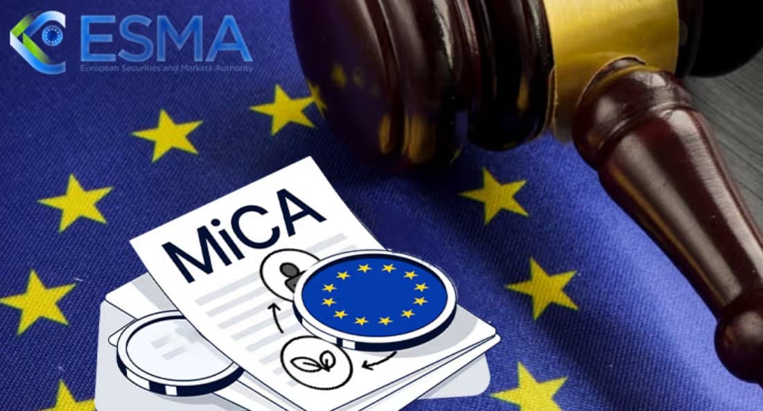 MiCA Register Expands with 14 New CASPs Amid Slower Crypto Licensing Growth