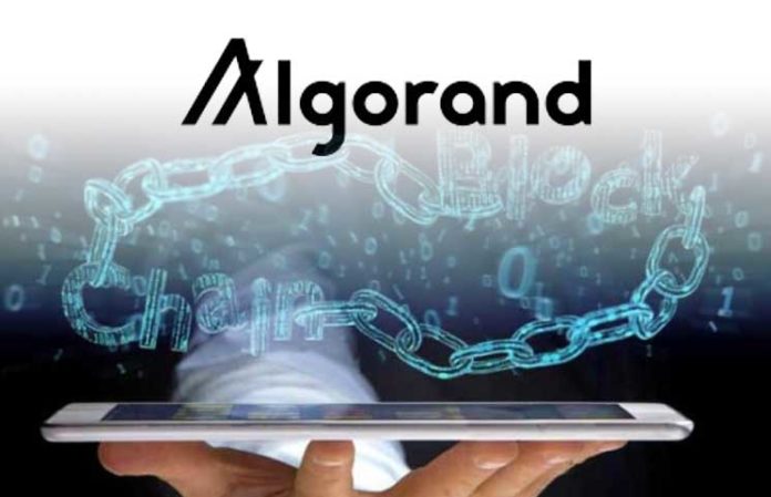 Algorand-Blockchain-and-Crypto-Project-Inks-62-Million-Dollar-Investment-696x449