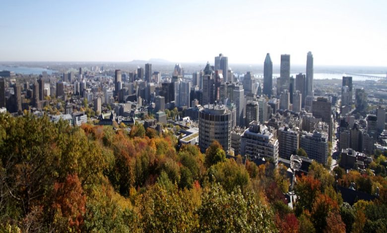 montreal-view-1