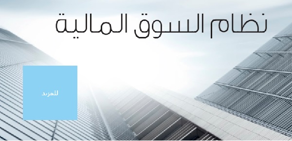 CAPITAL MARKETS