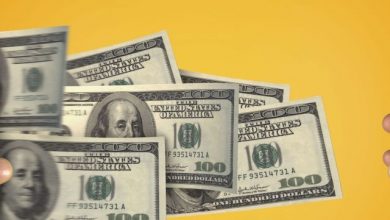 IMF Blog 2