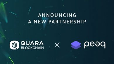 QUARA HOLDING PARTNERSHIP