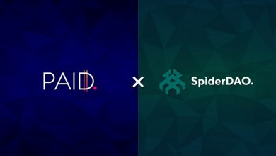 paid spiderDAO
