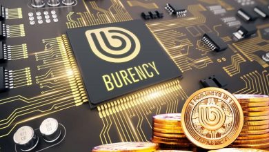 BURENCY 1