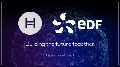 HEDERA HASHGRAPH 1