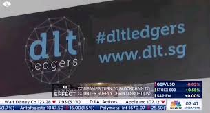 DLTLEDGERS