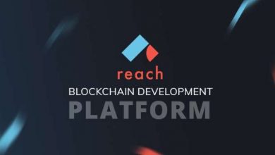 Blockchain-Development-Platform-Reach-Raises-12M