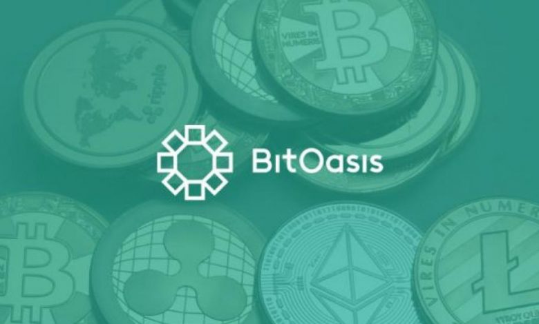 BitOasis Logo