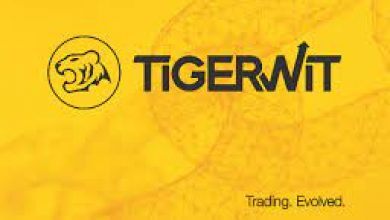 Tigerwit offering crypto gold and oil investment services in Dubai UAE