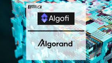 Algofi Algorand blockchain lending platform to launch