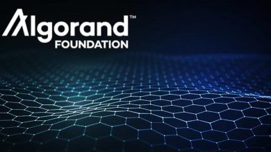 Algorand Blockchain launches DeFi fund