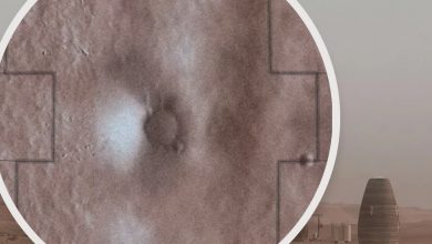 UAE Ghaf Capital partners invests in NFT Mars4 startup