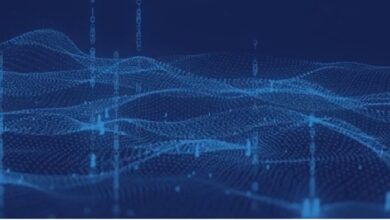 UAE Data Whale data tokenization most disruptive tech to date