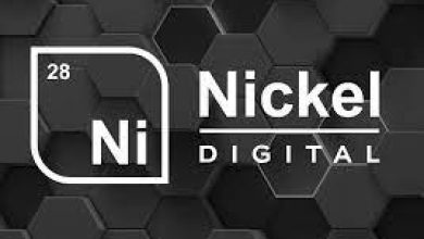 Nickle Digital asset survey reveals UAE investors see increased investment in altcoins