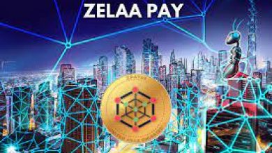 Zelaapay gets DLT license in Sharjah UAE