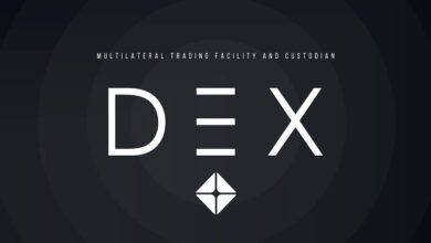 UAE Crypto exchange DEX starts onboarding clients