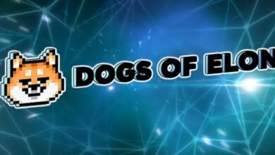 NFT Marketplace Dogs of Elon launches out of Dubai UAE