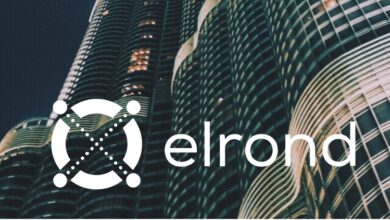 UAE MorningStar ventures invests 15 million in Elrond Blockchain
