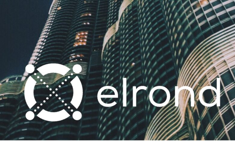 UAE MorningStar ventures invests 15 million in Elrond Blockchain