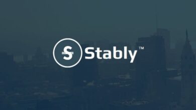 stably partners with Vesto for DeFi yields