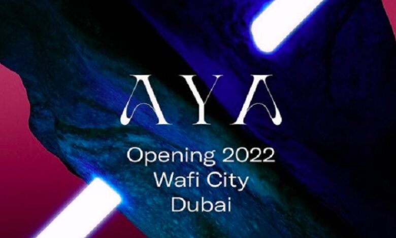 UAE Blockchain enabled Hyperspace raises 11 million USD