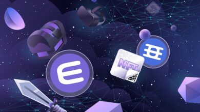 Enjin NFT ecosystem launches Metaverse Fund