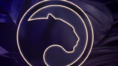 Panther privacy protocol for Web3 and Defi raises 22 million in public sale