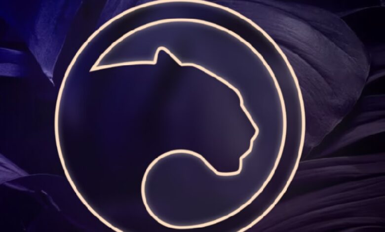 Panther privacy protocol for Web3 and Defi raises 22 million in public sale