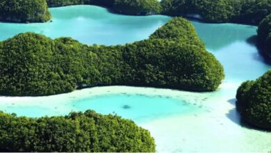 Ripple Partners with Republic of Palau for CBDC