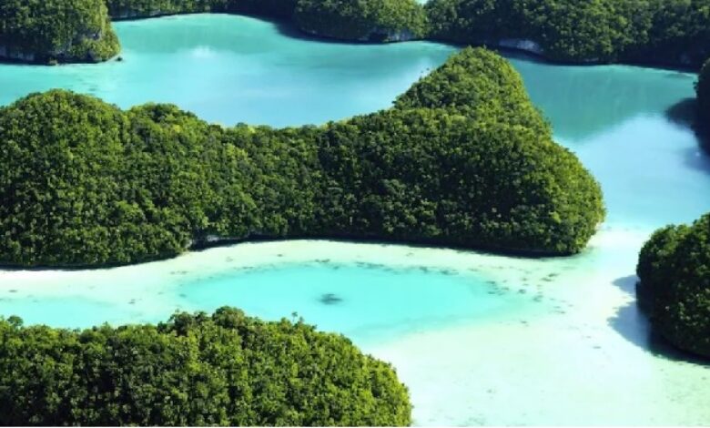 Ripple Partners with Republic of Palau for CBDC