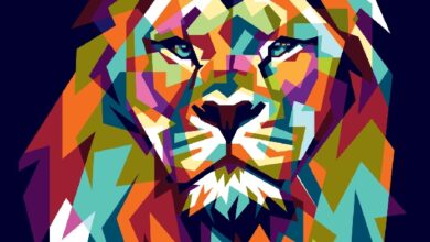 Invictus Capital launches NFT Collection for African artists