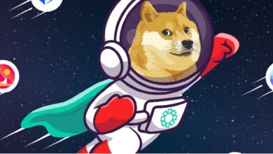 UAE based crypto exchange Bitoasis adds 12 new tokens to trade including Dogecoin