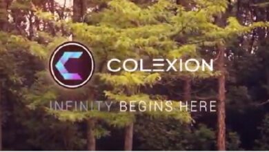 UAE registered Colexion licensed NFT marketplace integrates platform with Polygon