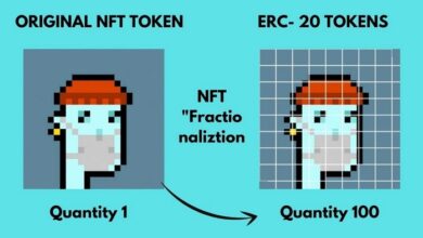 Fractional NFT market grows to reach 212 million USD