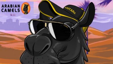 Arabian Camels NFT Community launches Decentrlized Film with Swapp Protocol