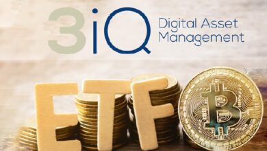 3iQ digital assets Fund CEO Fred Pye discussed crypto investment trends in 2022 and new product launches in MENA