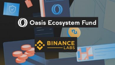 Binance labs invests in 200 million USD Oasis protocol fund