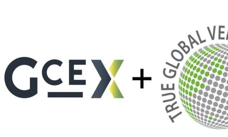 GCEX receives 4 million USD investment from True Global Ventures