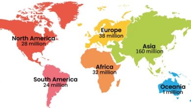 Morocco tops Arab countries in terms of crypto owners followed by Egypt