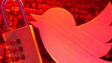 twitter launches NFT profiles connected to crypto wallets