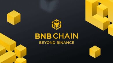 BNB Chain frees itself from Binance to create the METAFI