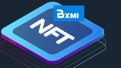 مركز دبي للسلع المتعددة يرخص سوق BitXmi للأصول الغير قابلة للإستبدال