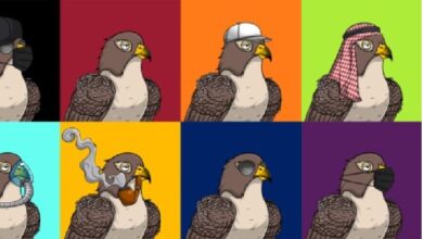 MENA NFT Collection Bored Falcon launches in Feb 2022