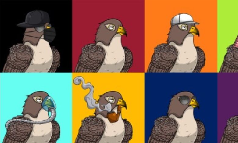 MENA NFT Collection Bored Falcon launches in Feb 2022