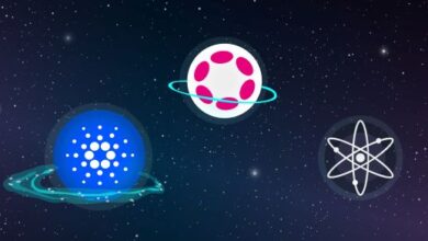 UAE Bitoasis crypto exchange launches 4 new crypto asset tokens for trading