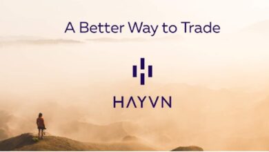 UAE Crypto exchange Hayvn seeks to raise 30 million USD