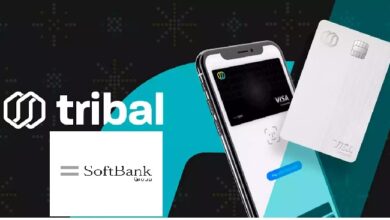 Egyptian founded Tribal AI and Blockchain B2B payments platform raises 60 million USD from Softbank