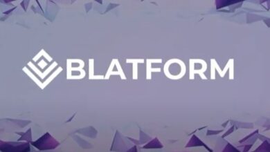 Blatform Blockchain as a service platform Turkey and UAE most crypto holders and transactions