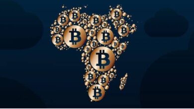 American University of Cairo report crypto adoption hurting African firms
