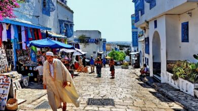 Tunisia Impact Partners launches Blockchain incubator